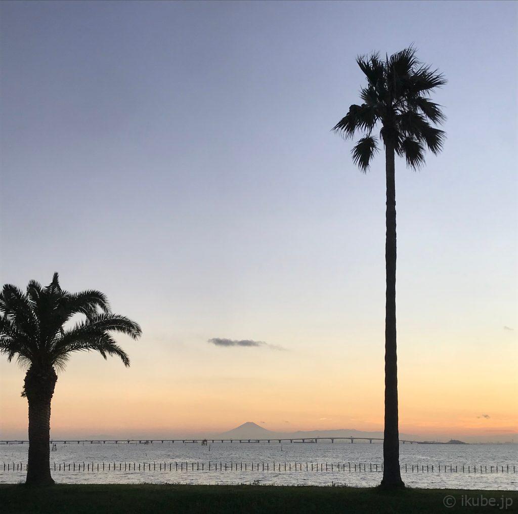 富士山と椰子とアクアライン