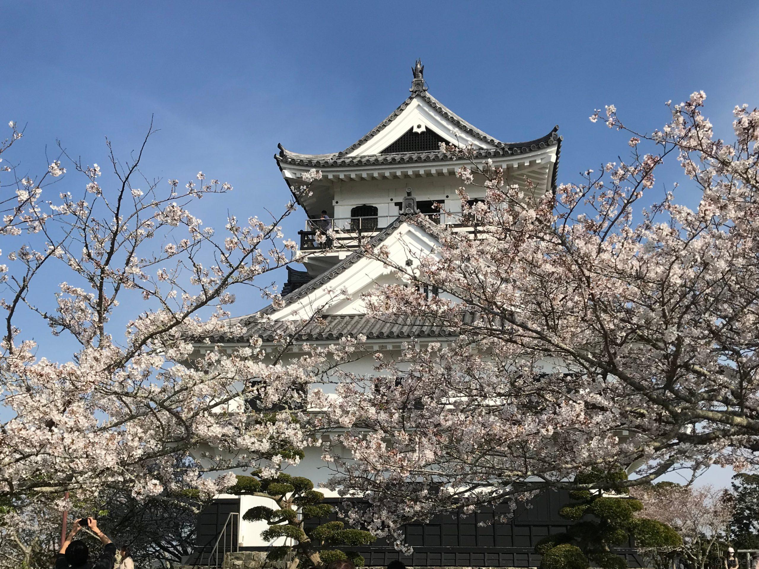 佐倉の名所 舘山城の城山公園 千葉いくべ