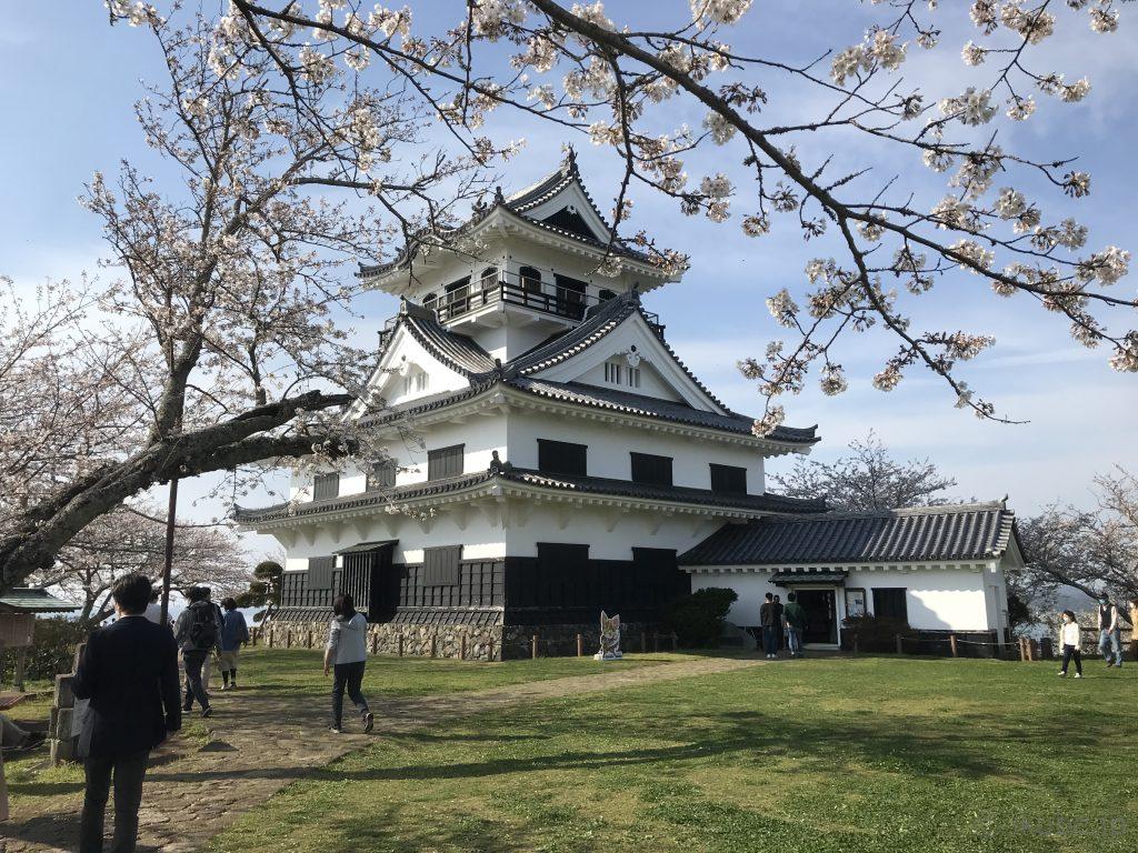 佐倉の名所 舘山城の城山公園 千葉いくべ